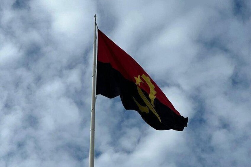 A flag on a flagpole against a cloudy sky. 3