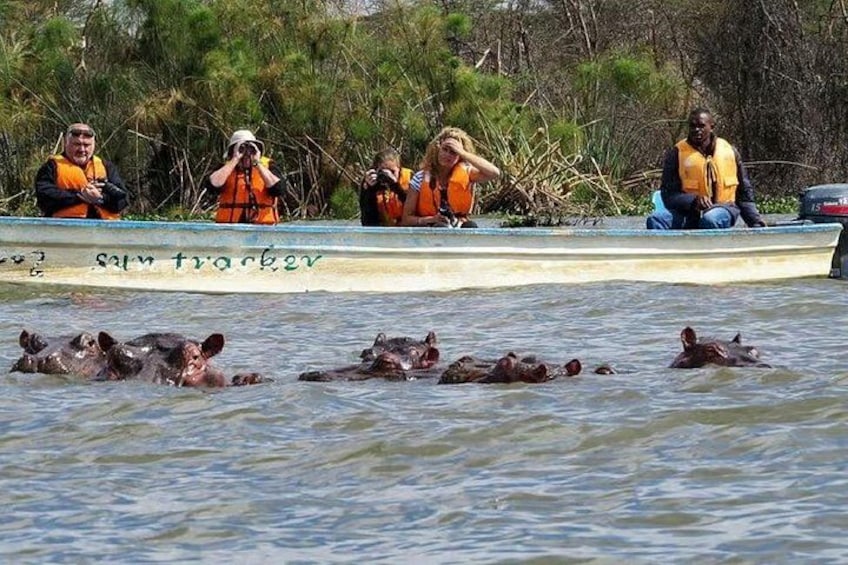 Un bote con personas que usan chalecos salvavidas, observando hipopótamos en el agua. 1