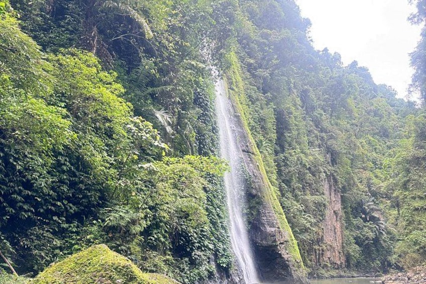 A waterfall cascading down a lush, green cliff surrounded by dense forest. 5