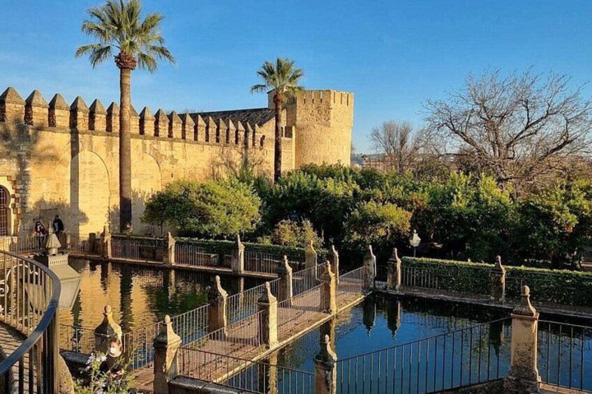 A historic building with a moat and palm trees. 3
