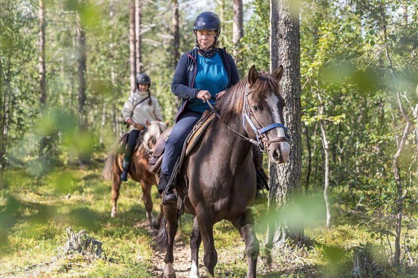 Horseback riding with Finnhorse on the forest 3