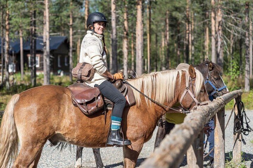Finnhorse 2