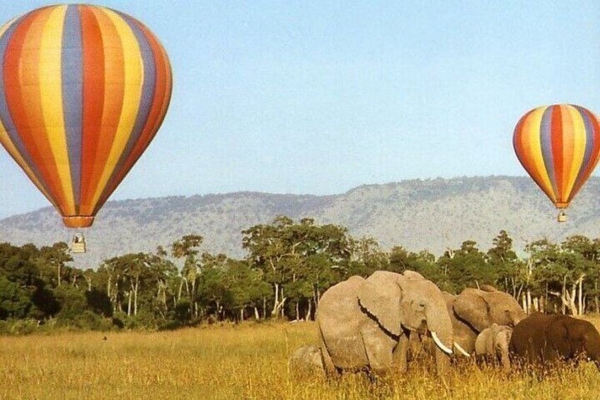 Dos globos aerostáticos, elefantes y un paisaje de sabana con árboles y colinas. 3