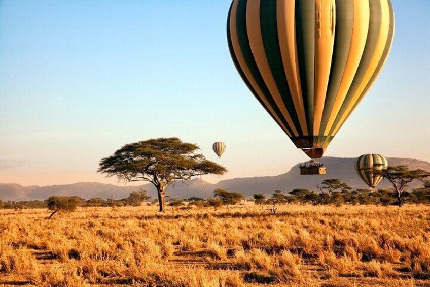 Globos aerostáticos sobre un paisaje de sabana con árboles de acacia y montañas a la distancia. 1