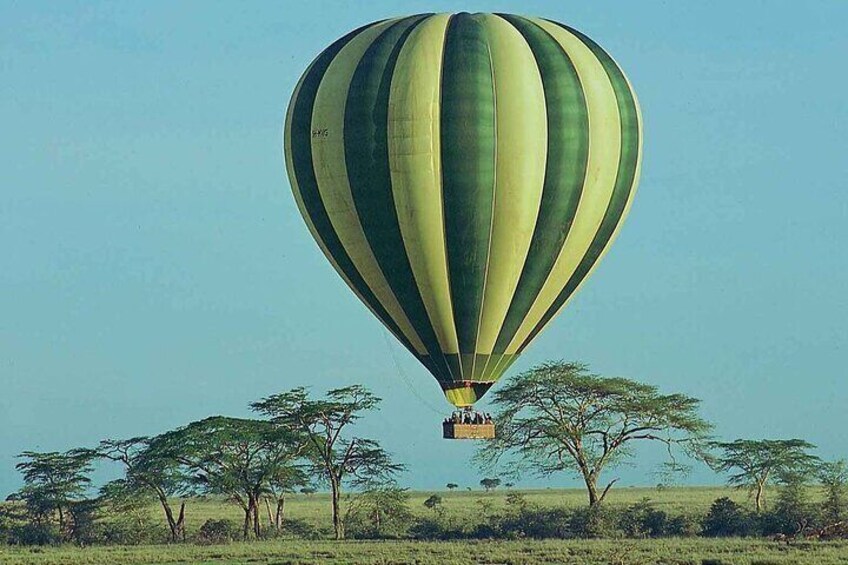 Un globo aerostático sobre un paisaje de sabana con árboles dispersos. 4
