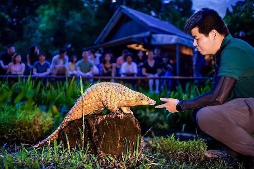 Night Safari Singapore Skip the Line Tickets with Tram Ride 2