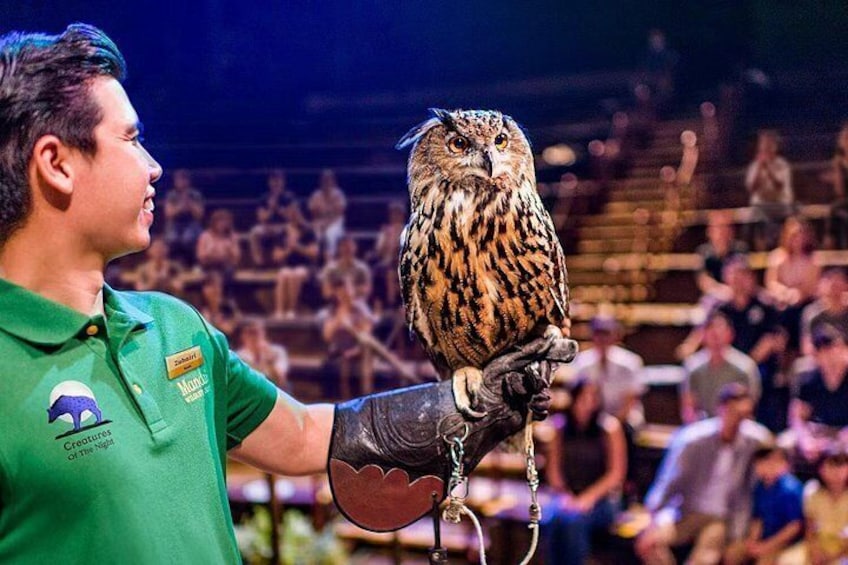 Night Safari Singapore Skip the Line Tickets with Tram Ride 4