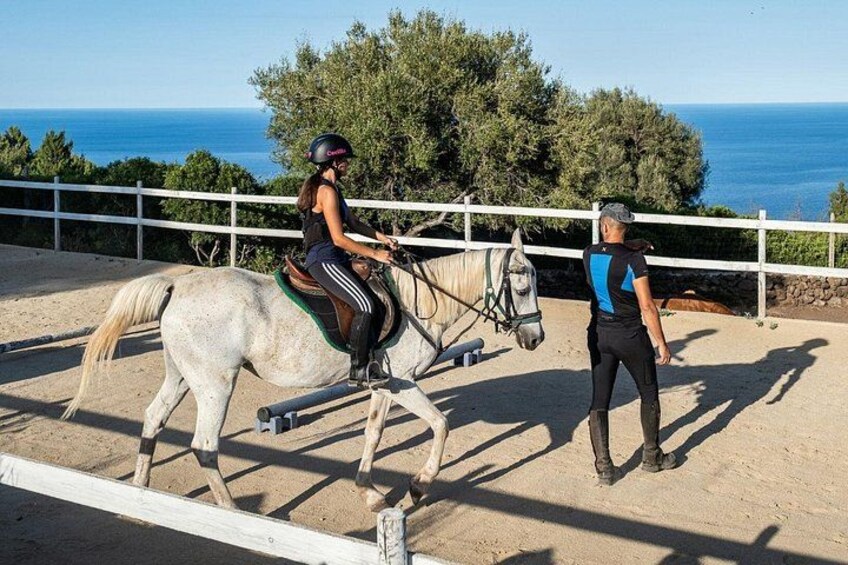 Dorgali Panoramic Horseback Tour in the Gulf of Orosei 4