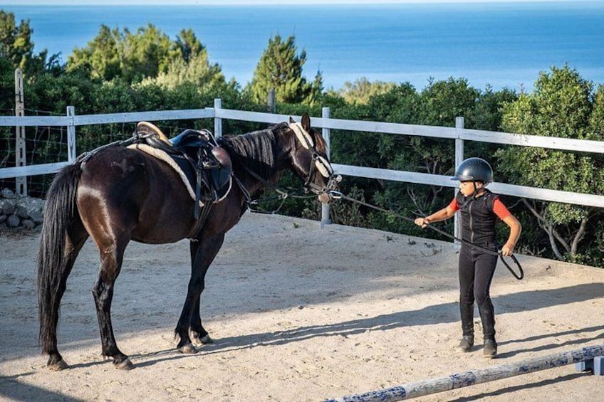 Dorgali Panoramic Horseback Tour in the Gulf of Orosei 5