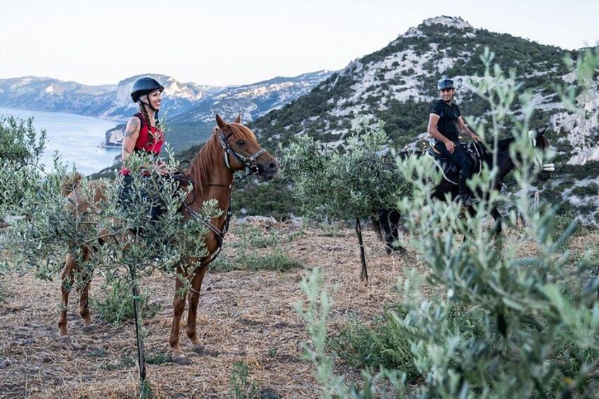 Dorgali Panoramic Horseback Tour in the Gulf of Orosei 1