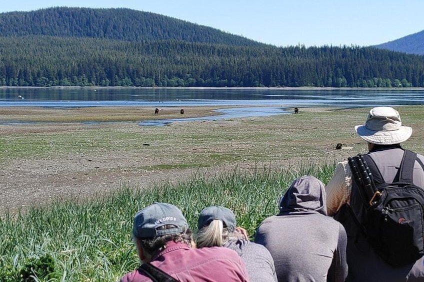 Bear Viewing at Pack Creek 4