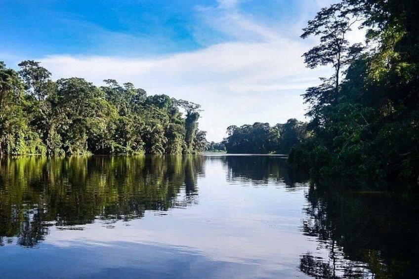 Tortuguero National Park Canal Kayaking Tour 4
