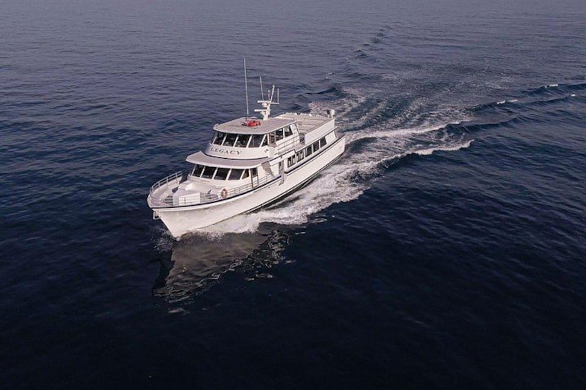 San Diego: 2.5-3 Hour Whale Watch Cruise with Legacy Whale Watch 2
