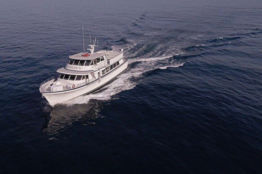 San Diego: 2.5-3 Hour Whale Watch Cruise with Legacy Whale Watch 3