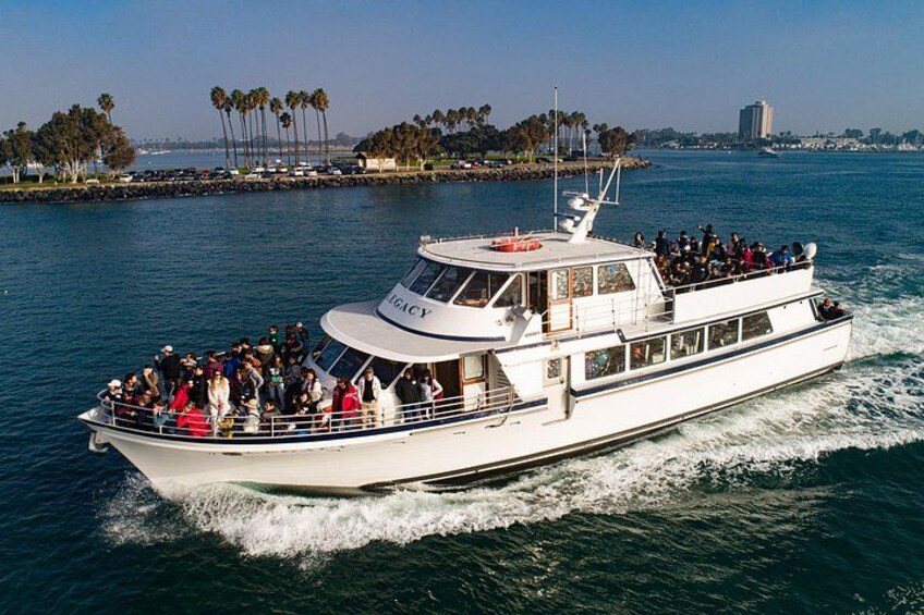 San Diego: 2.5-3 Hour Whale Watch Cruise with Legacy Whale Watch 4