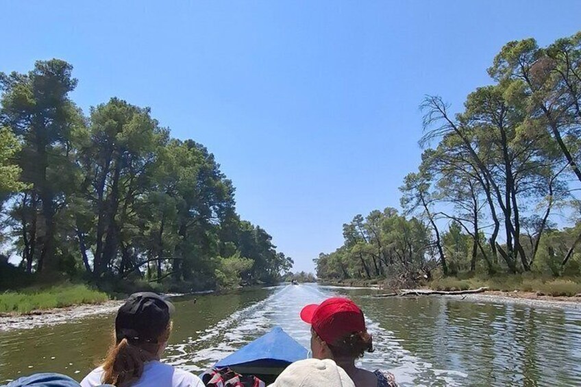 From Golem & Durrës: Offroad 4x4 Ride & Karavasta Lagoon Day Tour 3
