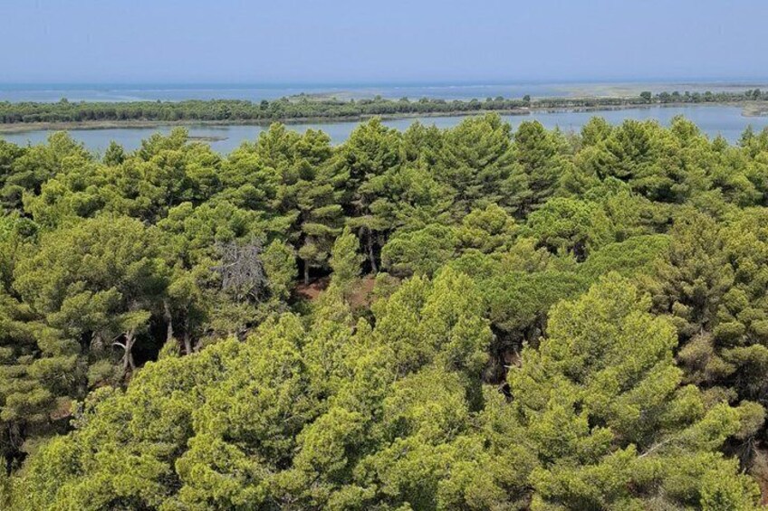From Golem & Durrës: Offroad 4x4 Ride & Karavasta Lagoon Day Tour 4