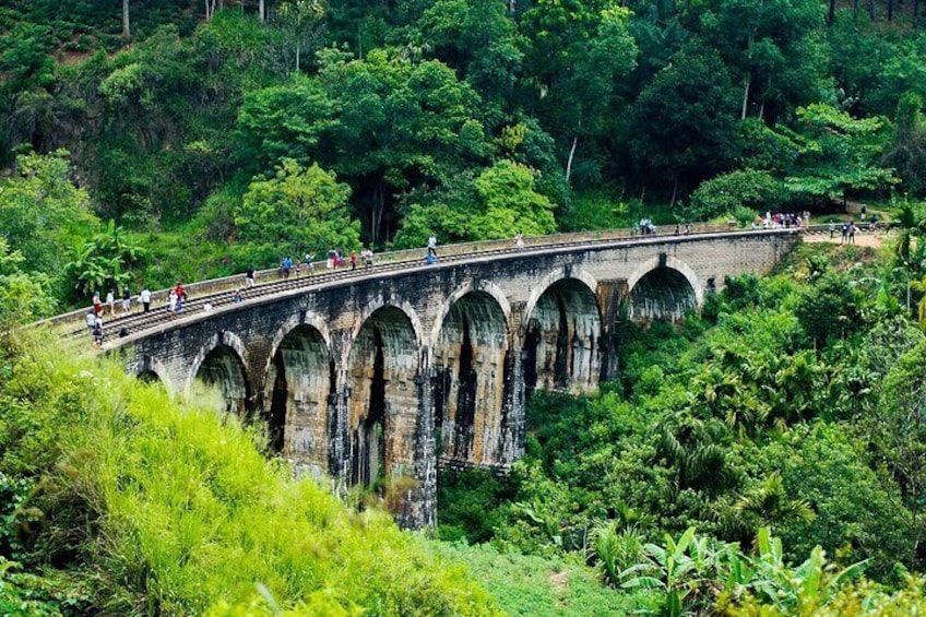 Eine Steinbrücke mit mehreren Bögen über einer üppigen, grünen Landschaft. 1