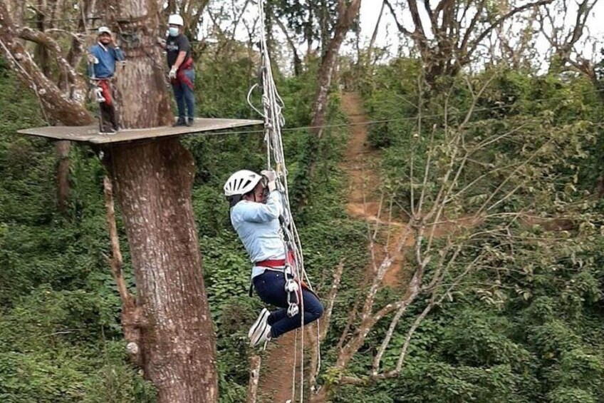 A person zip-lining through a forest. 4