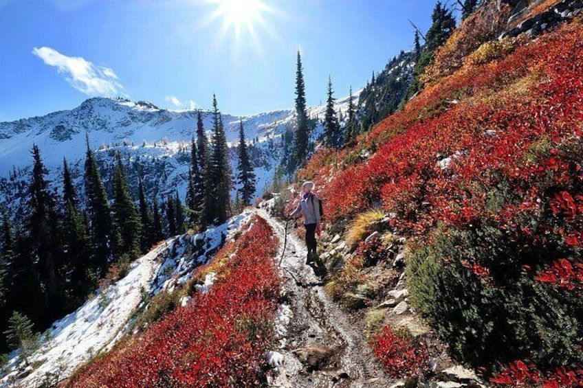 Pacific Northwest Bundle – 4 Self-Guided National Park Tours 4