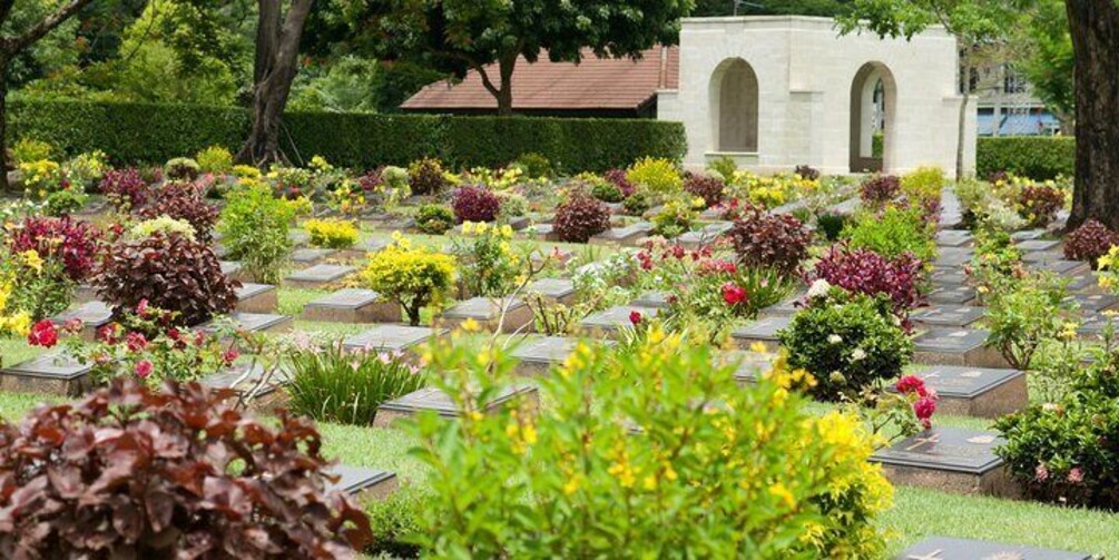En kirkegård med rækker af grave, forskellige planter og en bygning i baggrunden. 4