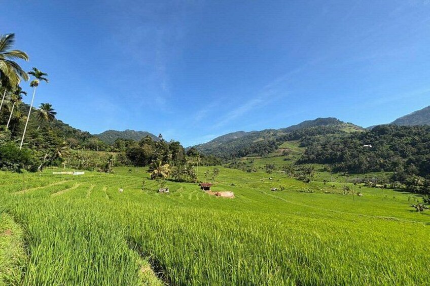 Knuckles Mountain Range Trekking Tour From Kandy 2