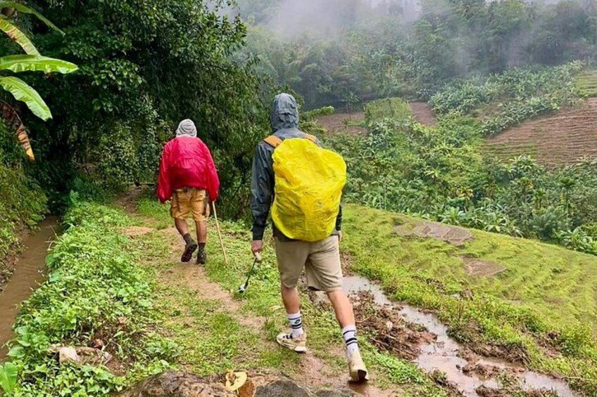 Knuckles Mountain Range Trekking Tour From Kandy 3