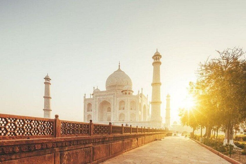 The Taj Mahal with a clear sky and a wooden fence in the foreground. 1