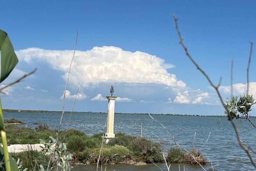 Montpellier Guided Ride in Little Camargue by Electric Bike 2