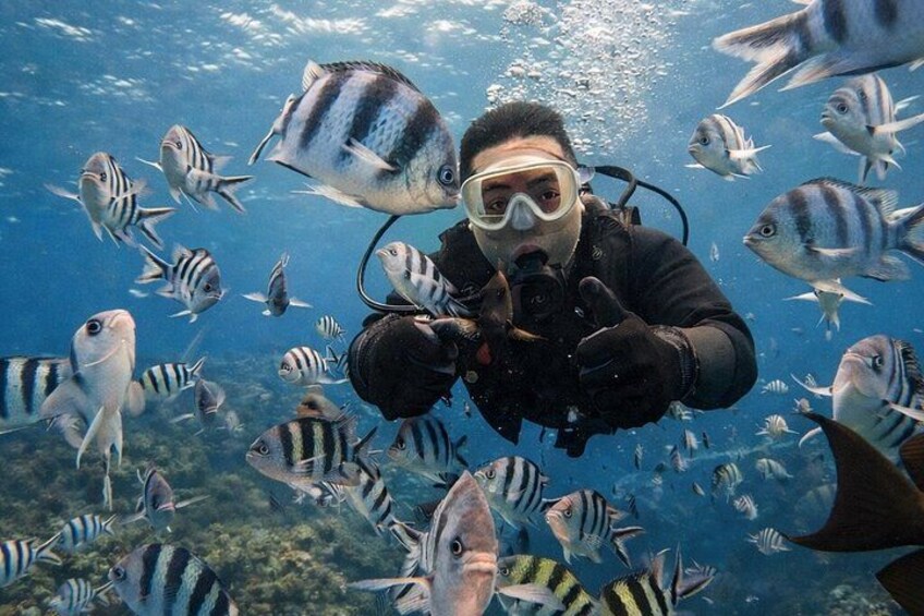 Try Scuba Diving diving at the Blue Cave in Onna Village, Okinawa 2