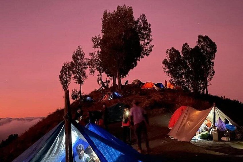 A campsite at dusk with tents and trees. 1