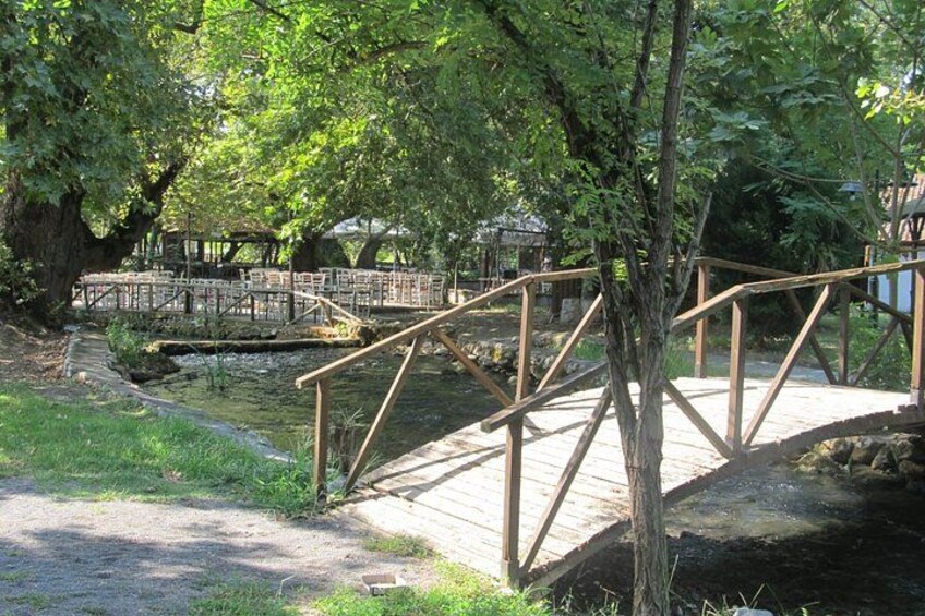 Un puente de madera sobre un arroyo, rodeado de árboles y una pasarela de madera. 2