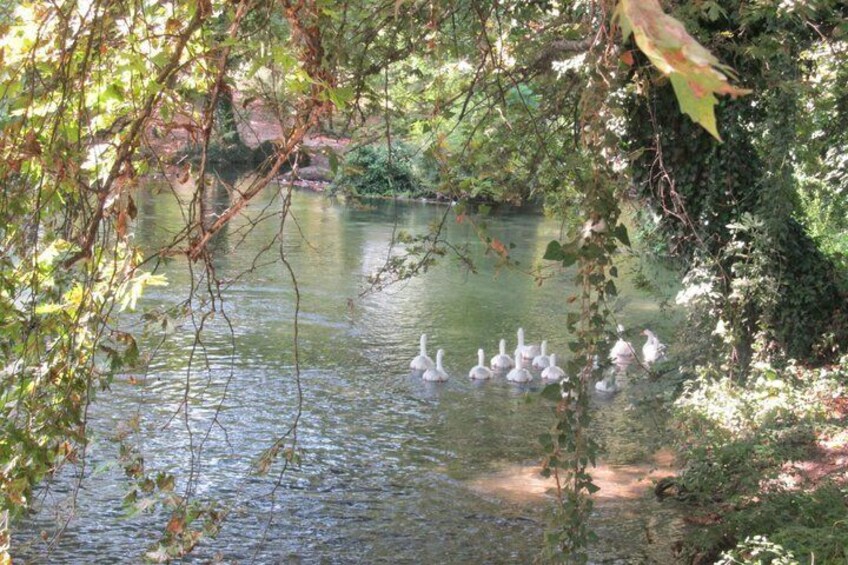 Thessaloniki: Ancient Pella & Nature Escape Small Group 3