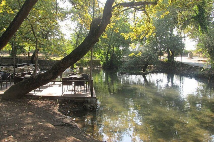 Zona de picnic a orillas del río, con mesas y sillas, rodeada de árboles y una masa de agua tranquila. 4