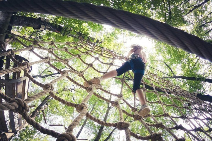 High Ropes and Adventure Tree Top Experience 2