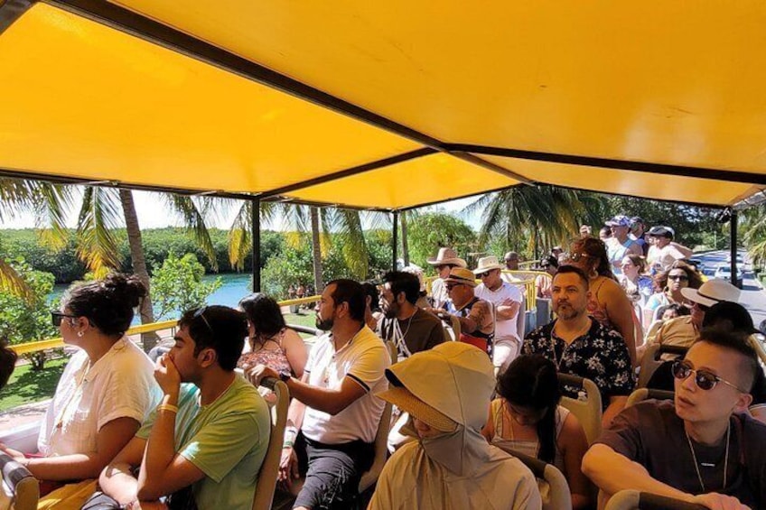 Cancun Cultural City Tour from Costa Mujeres 2