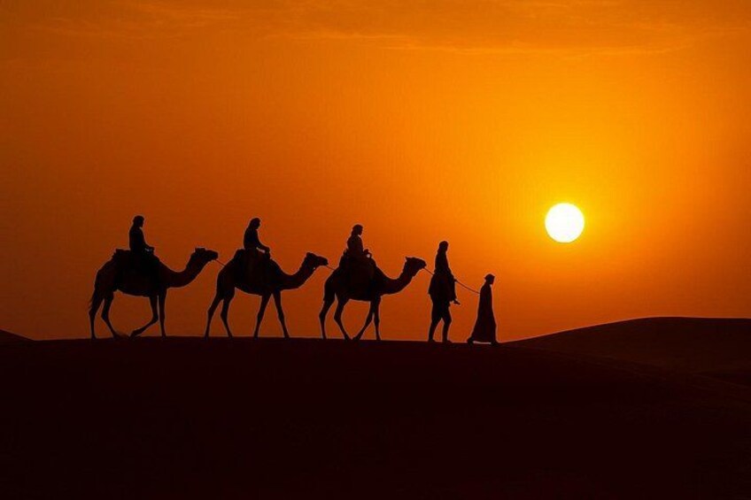Camel Ride 5