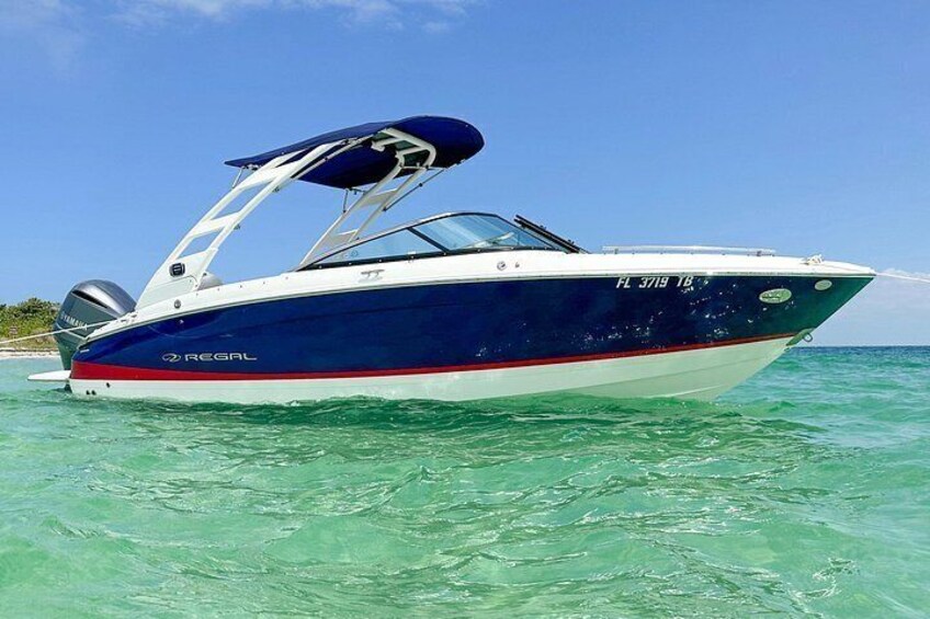 Luxury Private Boat Adventure in Tampa Bay 3