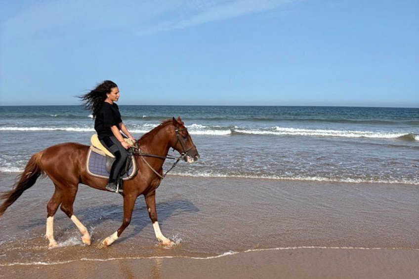 1h Sunset Horse Ride in Essaouira with Photos and Videos 5
