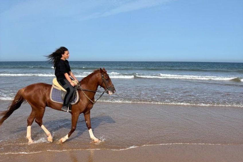 1h Sunset Horse Ride in Essaouira with Photos and Videos 5