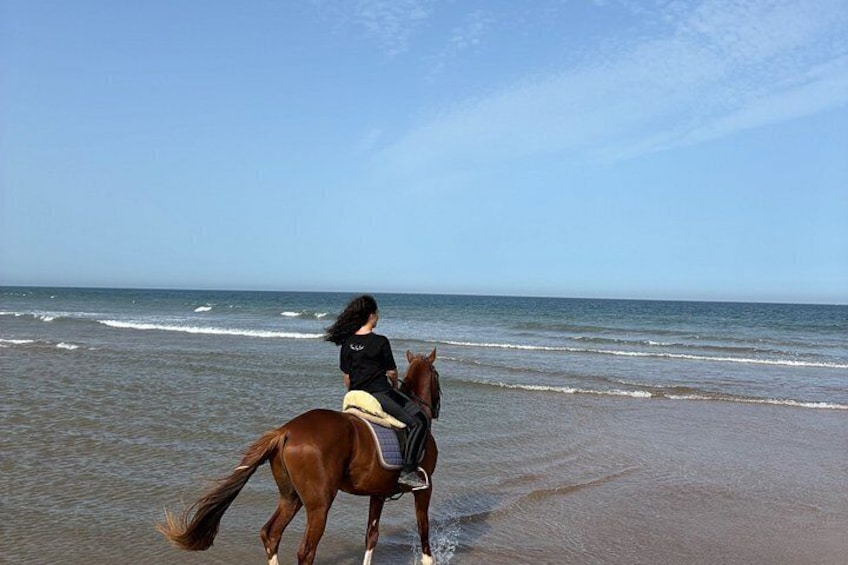 1h Sunset Horse Ride in Essaouira with Photos and Videos 2