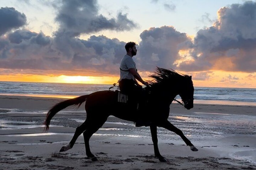 1h Sunset Horse Ride in Essaouira with Photos and Videos 2