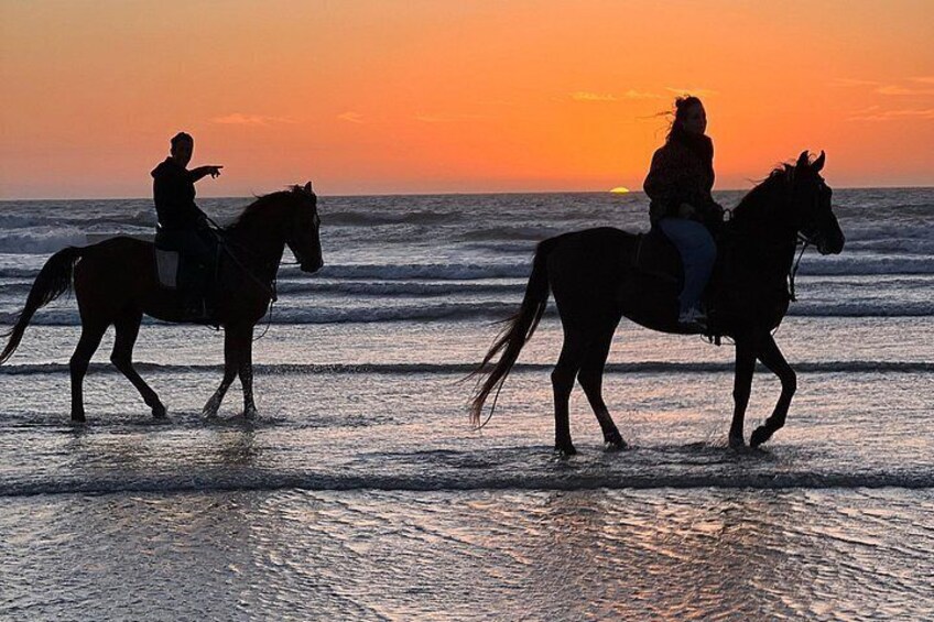 1h Sunset Horse Ride in Essaouira with Photos and Videos 4