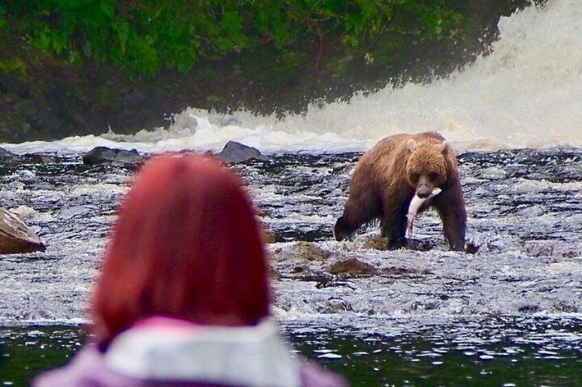 Private Bear Viewing at Waterfall Creek 3