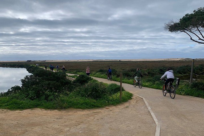 3H Passeio Guiado em Bicicleta no Parque Natural da Ria Formosa 4