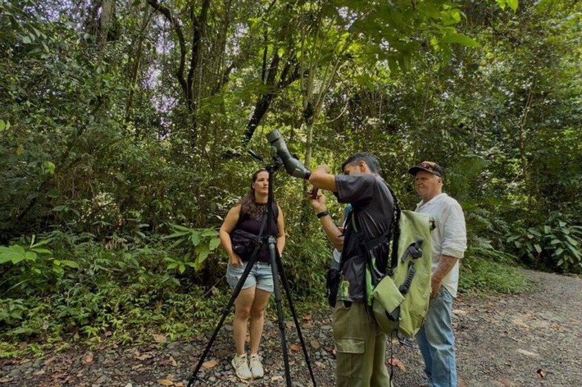 Manuel Antonio Guided Tour of Nature and Beaches 4