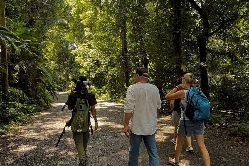 Manuel Antonio Guided Tour of Nature and Beaches 2