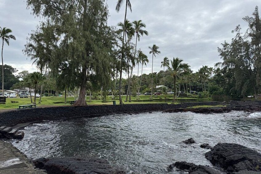 A coastal area with a rocky shoreline, palm trees, and a grassy park area. 2