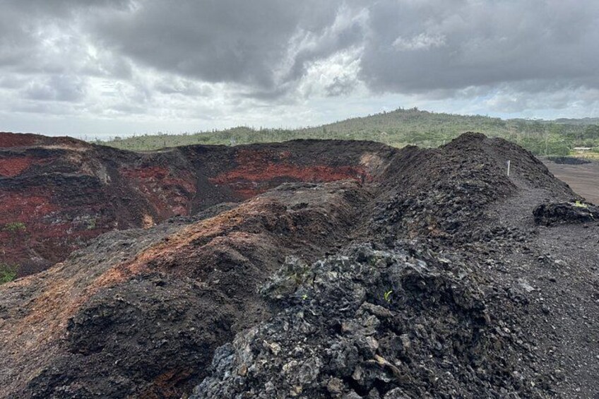 Fissure 8 Tour - Volcanoes National Park and Hilo Discovery 3