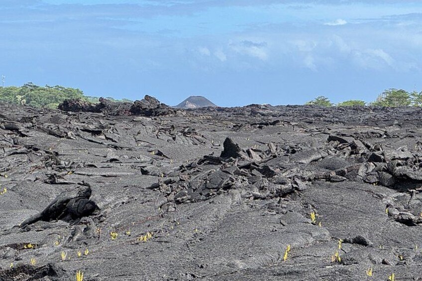 Fissure 8 Tour - Volcanoes National Park and Hilo Discovery 2